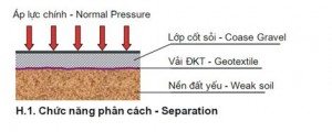 vai-dia-ky-thuat-khong-det-04