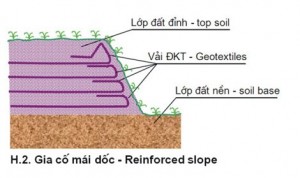 vai-dia-ky-thuat-khong-det-05