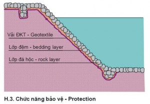 vai-dia-ky-thuat-khong-det-06