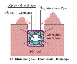 vai-dia-ky-thuat-khong-det-08