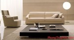 Bàn trà và ghế sofa phải được bố trí cân xứng - V.D.1