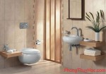 Cách hóa giải cho toilet không hợp phong thủy - V.D.1